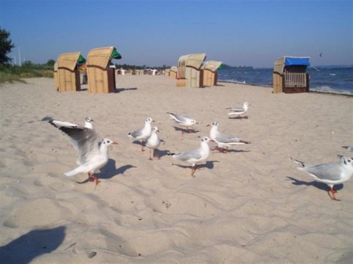 Smucke Stuuv I Apartment Glücksburg Екстериор снимка